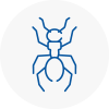 Ant Removals In Hucknall Under Huthwaite