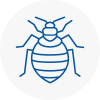 Bed Bug Extermination In Hucknall Under Huthwaite