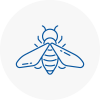 Bee Nest Removal Hucknall Under Huthwaite