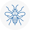 Hucknall Under Huthwaite Hornet Nest Removals