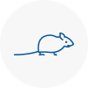 Mice Exterminators In Hucknall Under Huthwaite