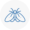 Moth Control Specialists In Hucknall Under Huthwaite