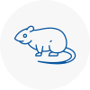 Rat Control Hucknall Under Huthwaite