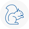 Hucknall Under Huthwaite Rodent Removals
